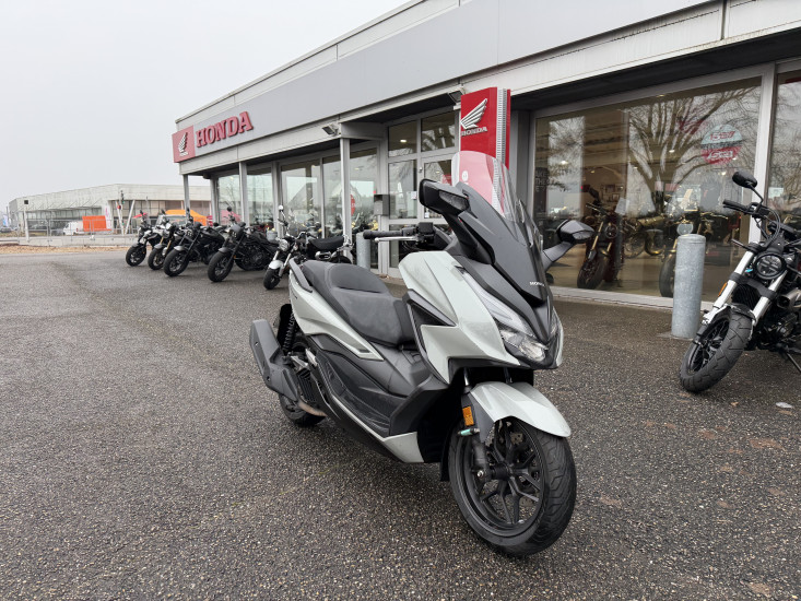 HONDA FORZA 125 ABS COLORIS GRIS - HAGUENAU